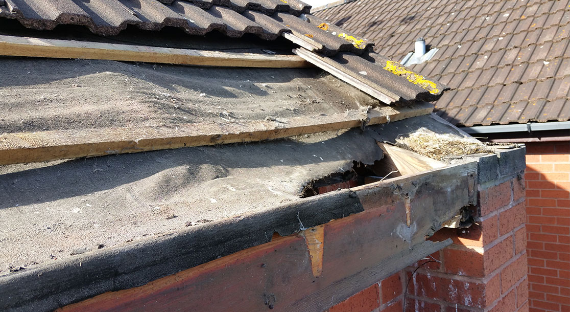 Roofline Repairs